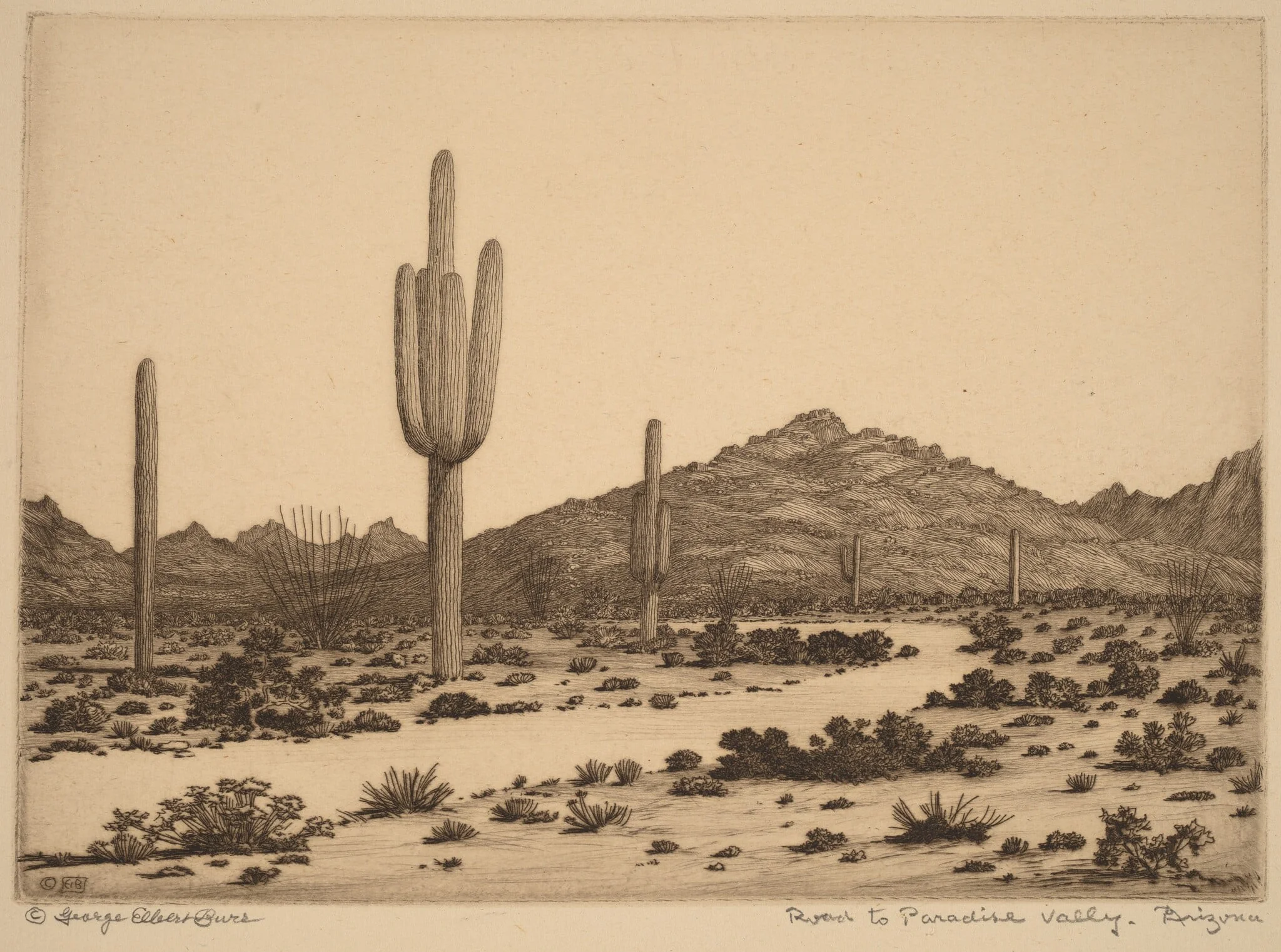 Road to Paradise Valley, Arizona