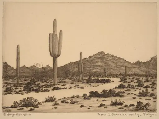 Road to Paradise Valley, Arizona