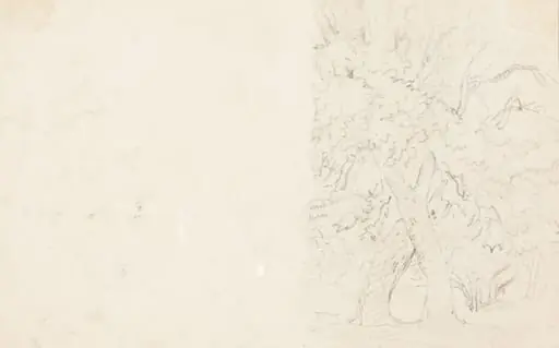 Trees [verso]