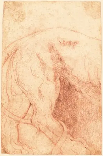 Fragment of a Lion Bas-Relief (verso)