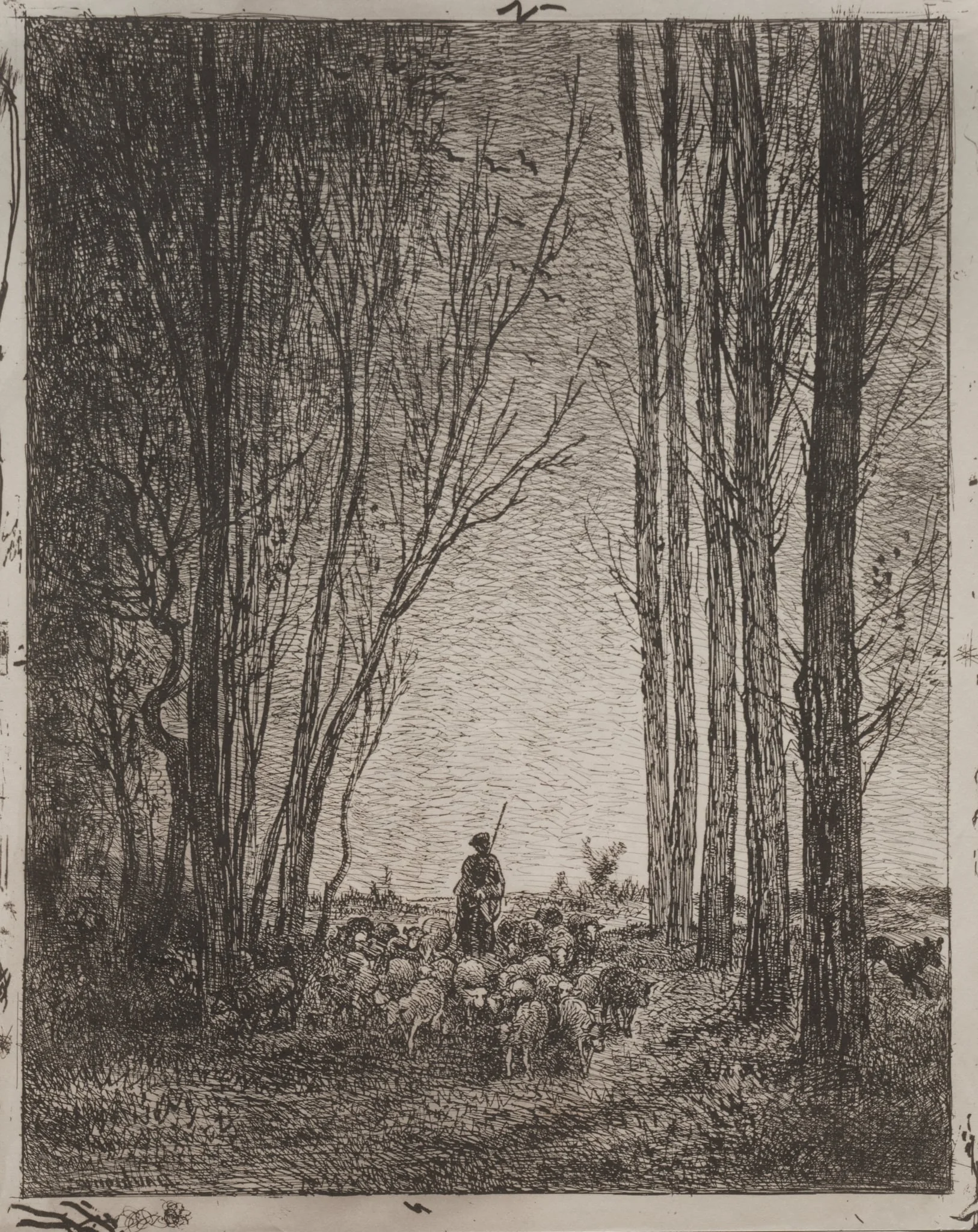 Gathering in the Flock, by Charles François Daubigny, 1862