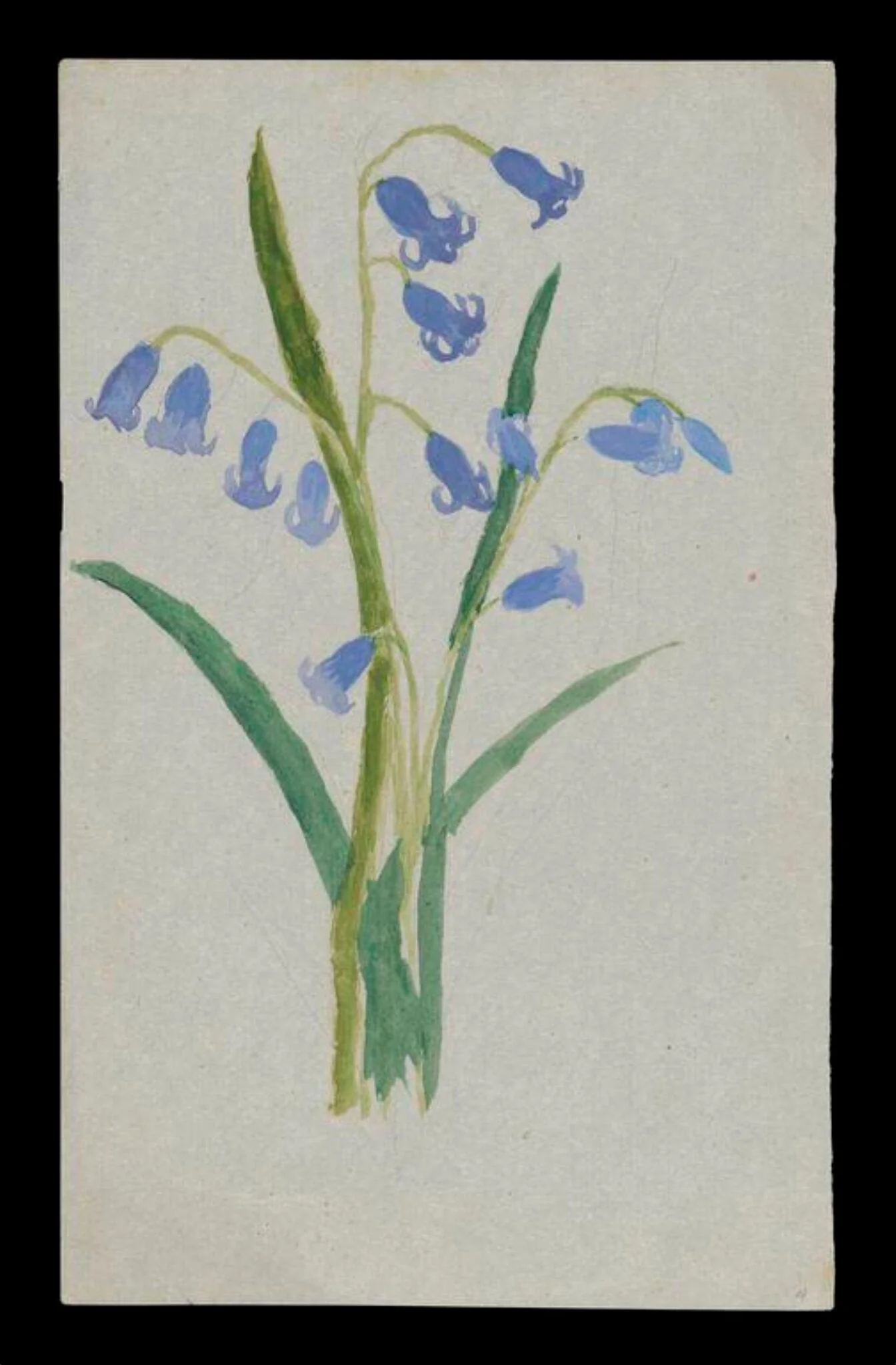 Untitled, by Beatrix Potter, watercolor, 6