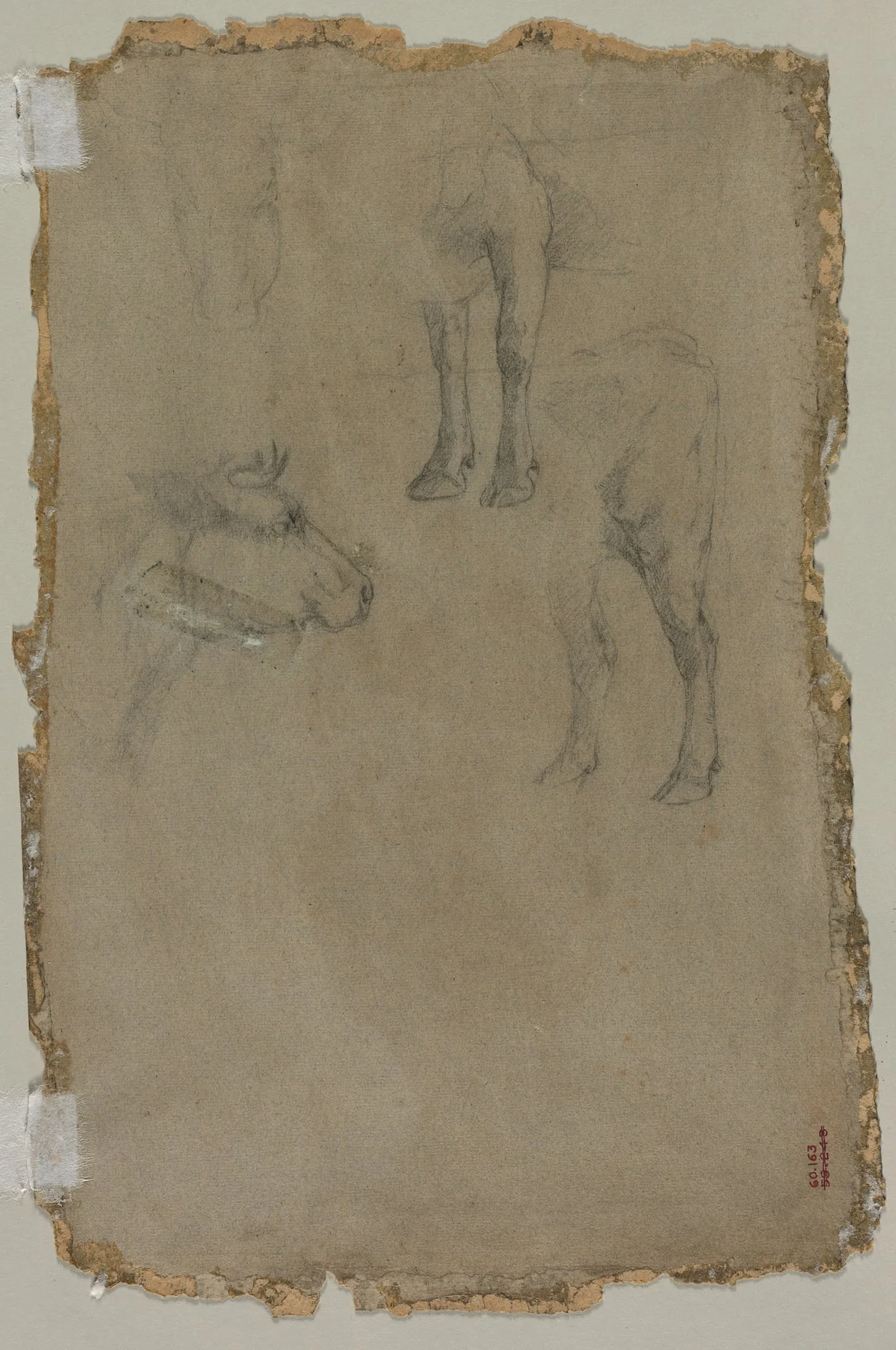 Studies of a Bull (verso), by Johan Jongkind, 1864