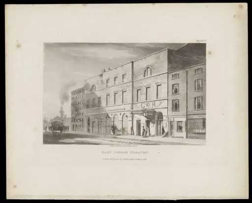 H Beard Print Collection