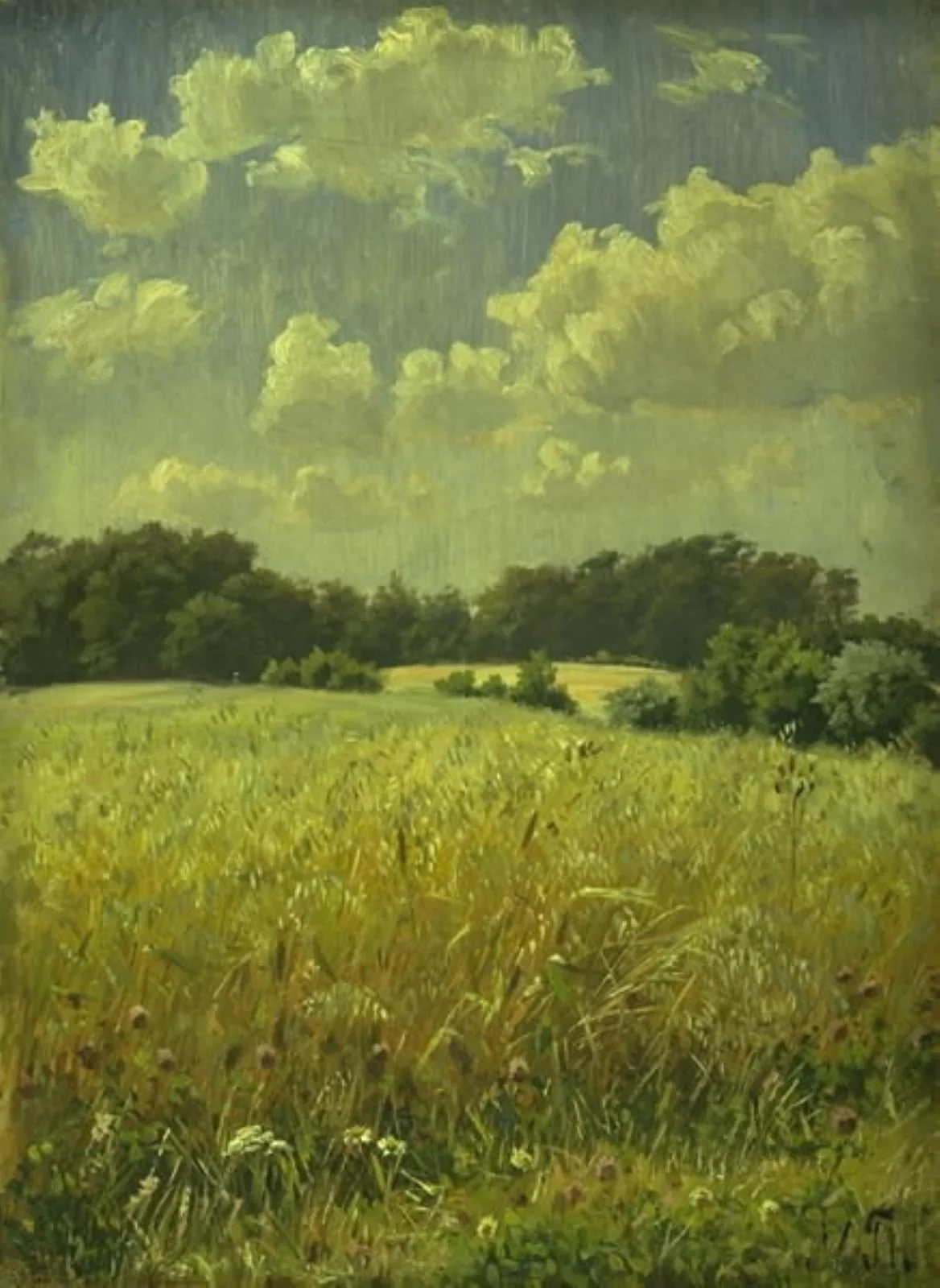 En havremark, by Unknown, 1895