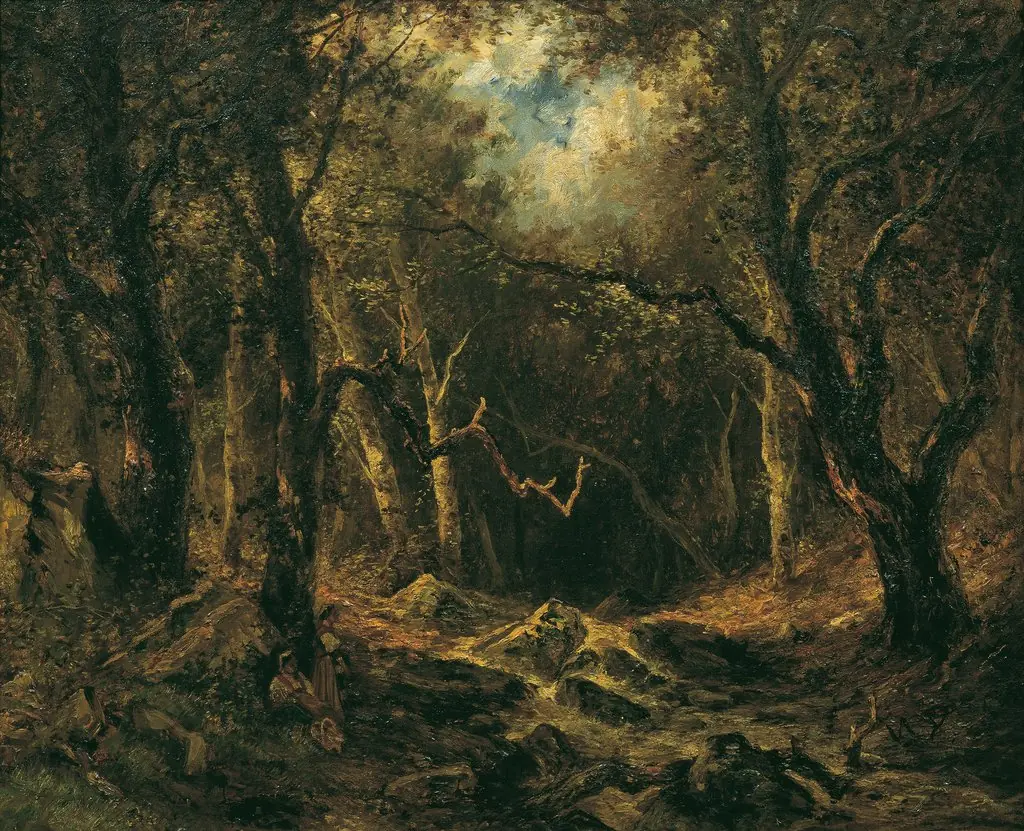 Inside the Forest