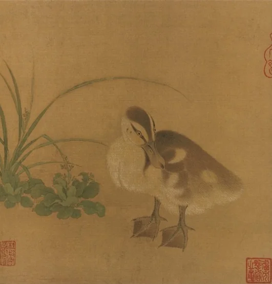 Duckling