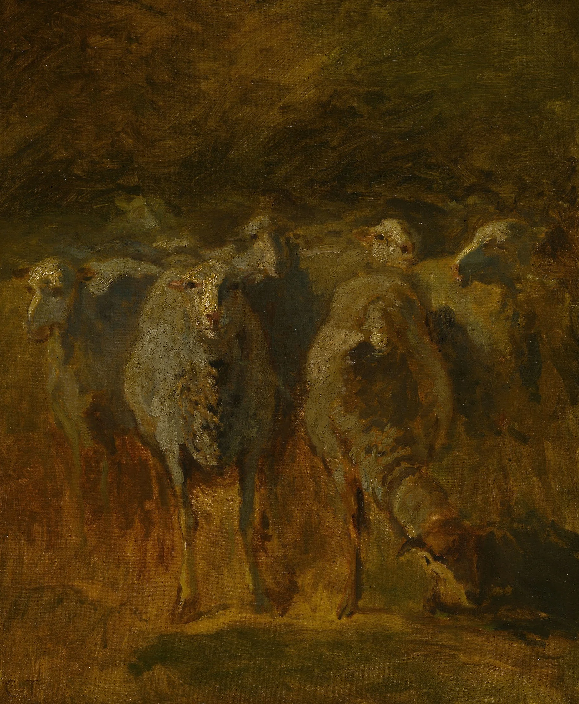 Unfinished Study of Sheep, by Constant Troyon, oil, 1850