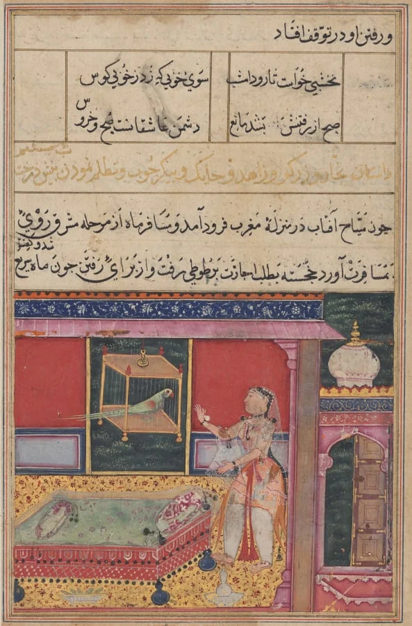The Parrot Addresses Khujasta at the Beginning of the Sixth Night, from a Tuti-nama (Tales of a Parrot), by Daswanth, unspecified, 1560