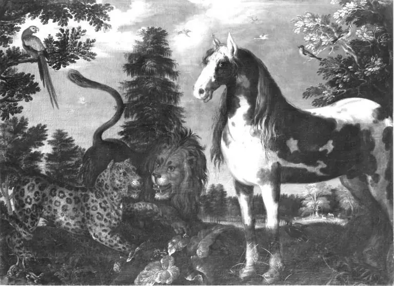 Paradiesische Tiergruppe