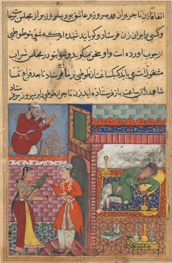 The vizier’s son receives the magic wooden parrot from the wife of the merchant, who is drunk, and has a replica made by a carpenter, from a Tuti-nama (Tales of a Parrot): Tenth Night