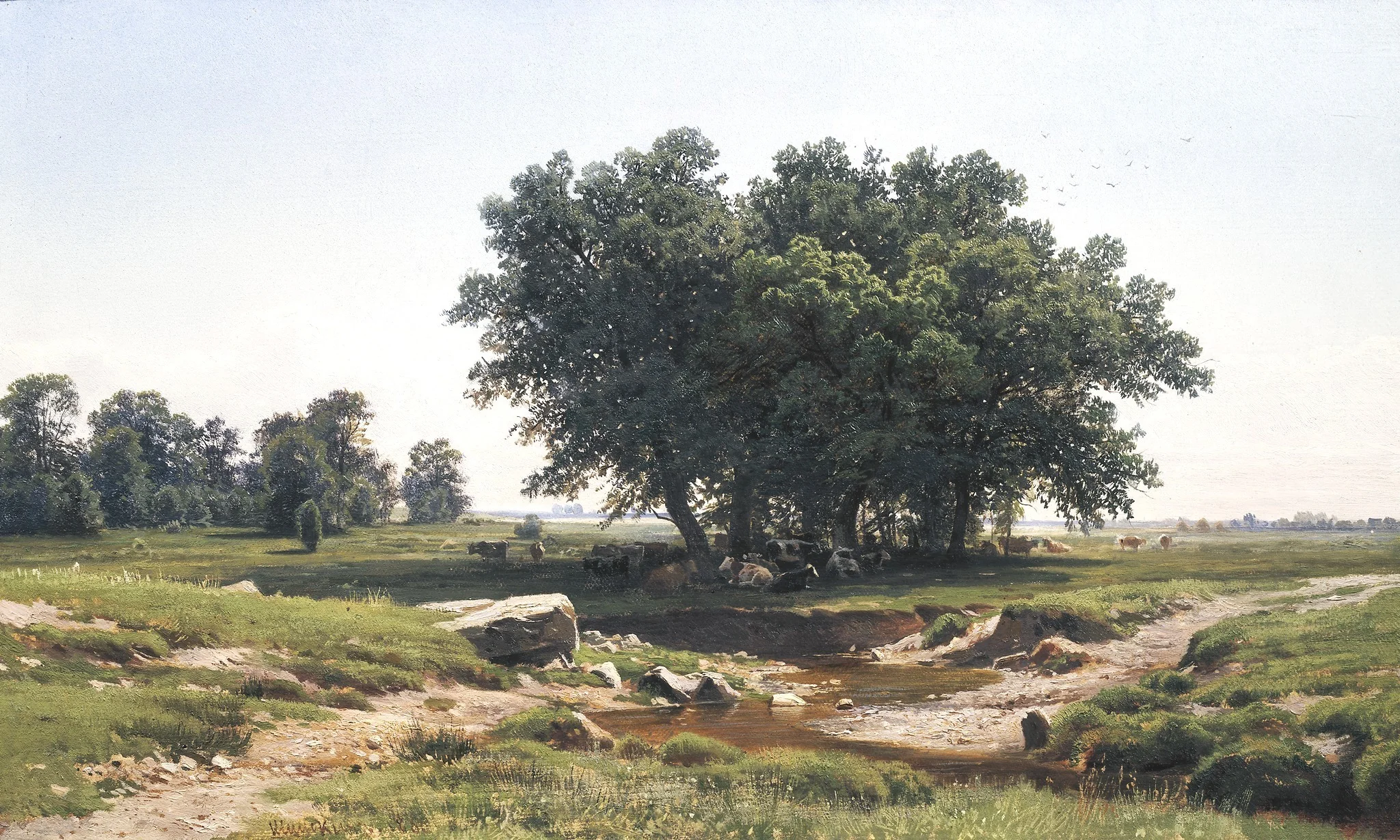 Oaks