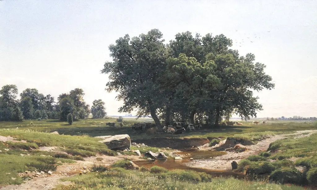 Oaks