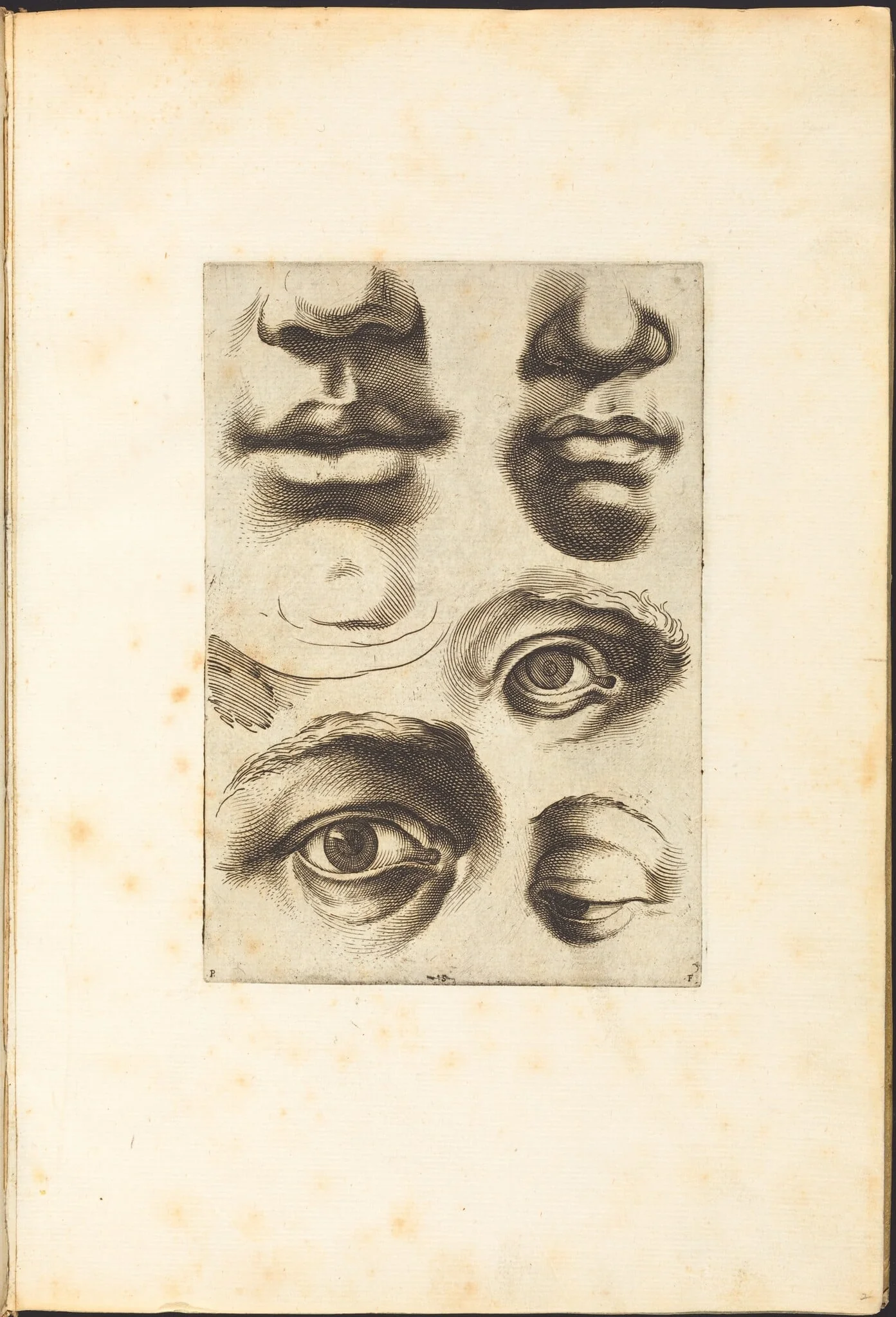 Print from Drawing Book, by Luca Ciamberlano, ink, 1615
