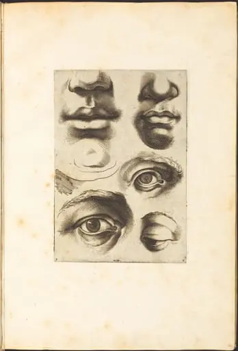 Print from Drawing Book