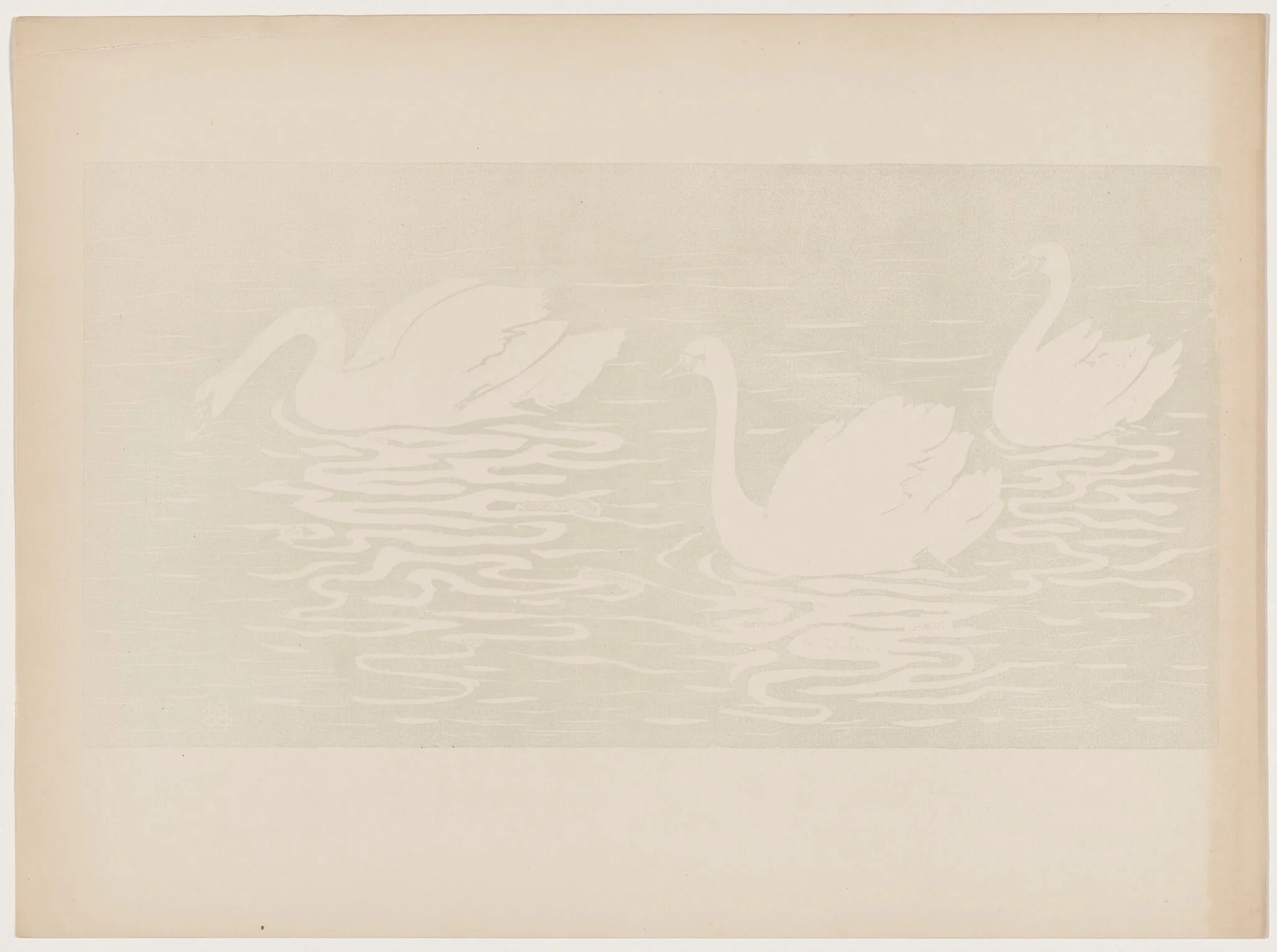 Les cygnes
