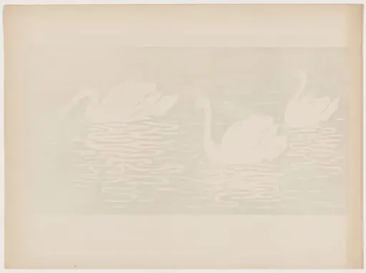 Les cygnes