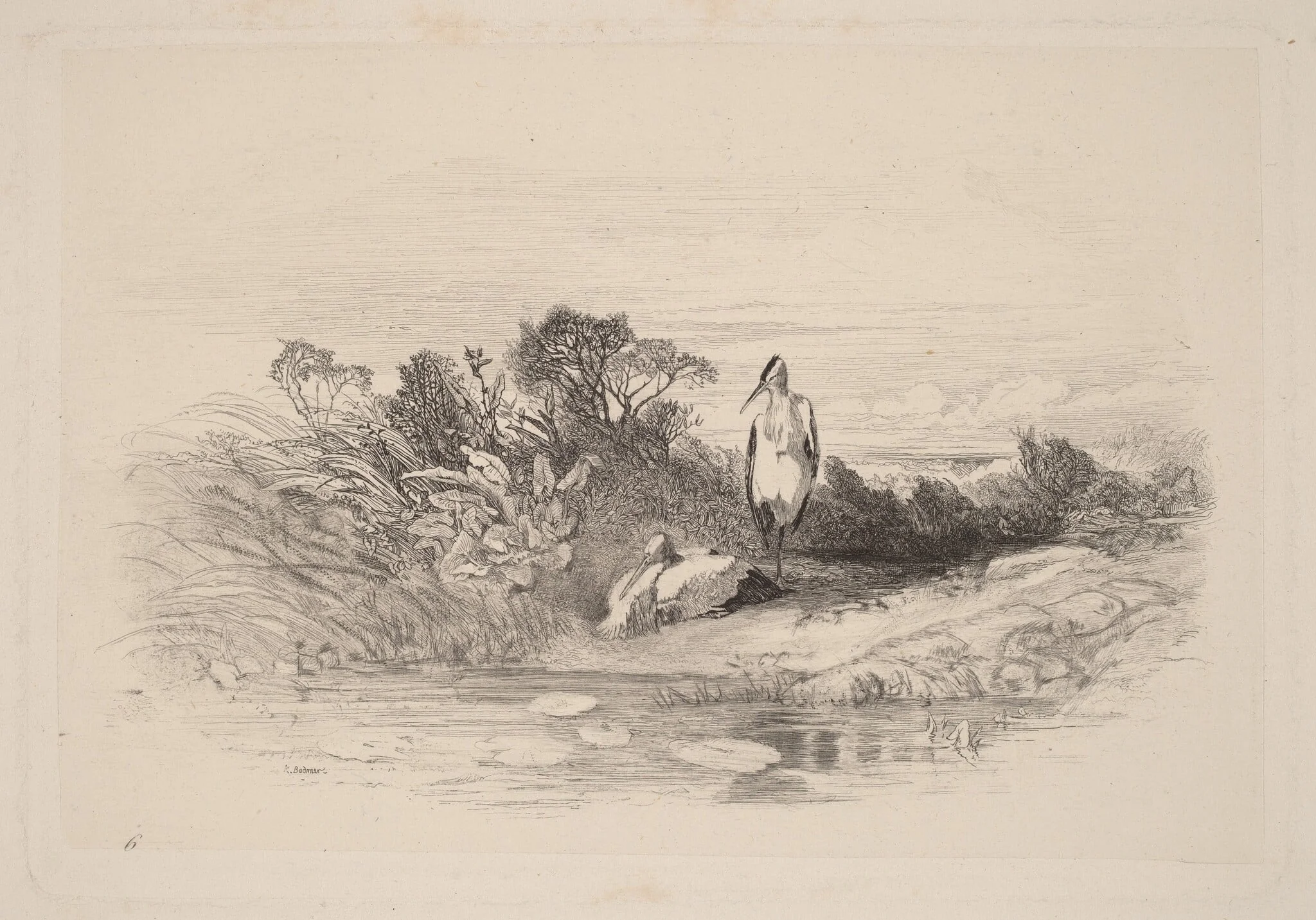 Les Deux Herons, by Karl Bodmer, ink, 1851