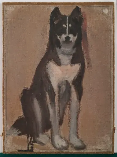 Koira