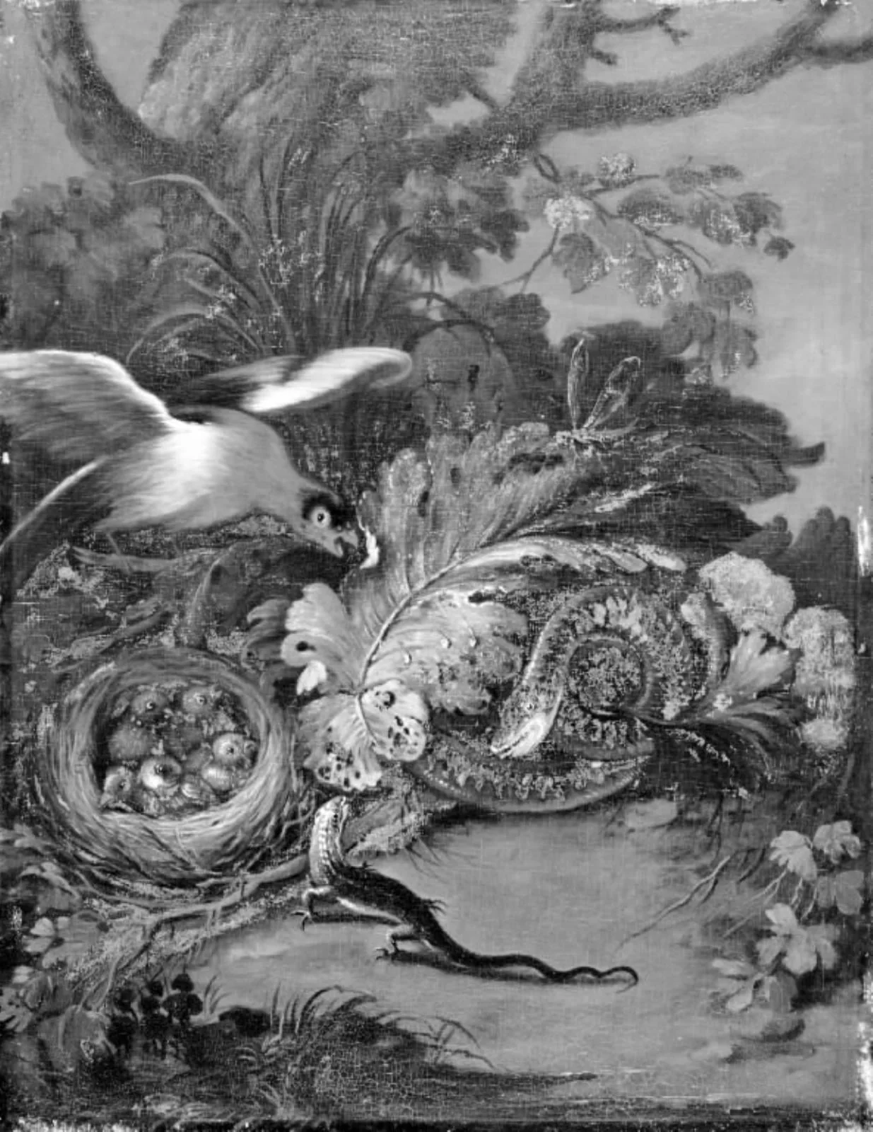 En fugl forsvarer sine unger i reden mod en snog og et firben, by Unknown, 1750