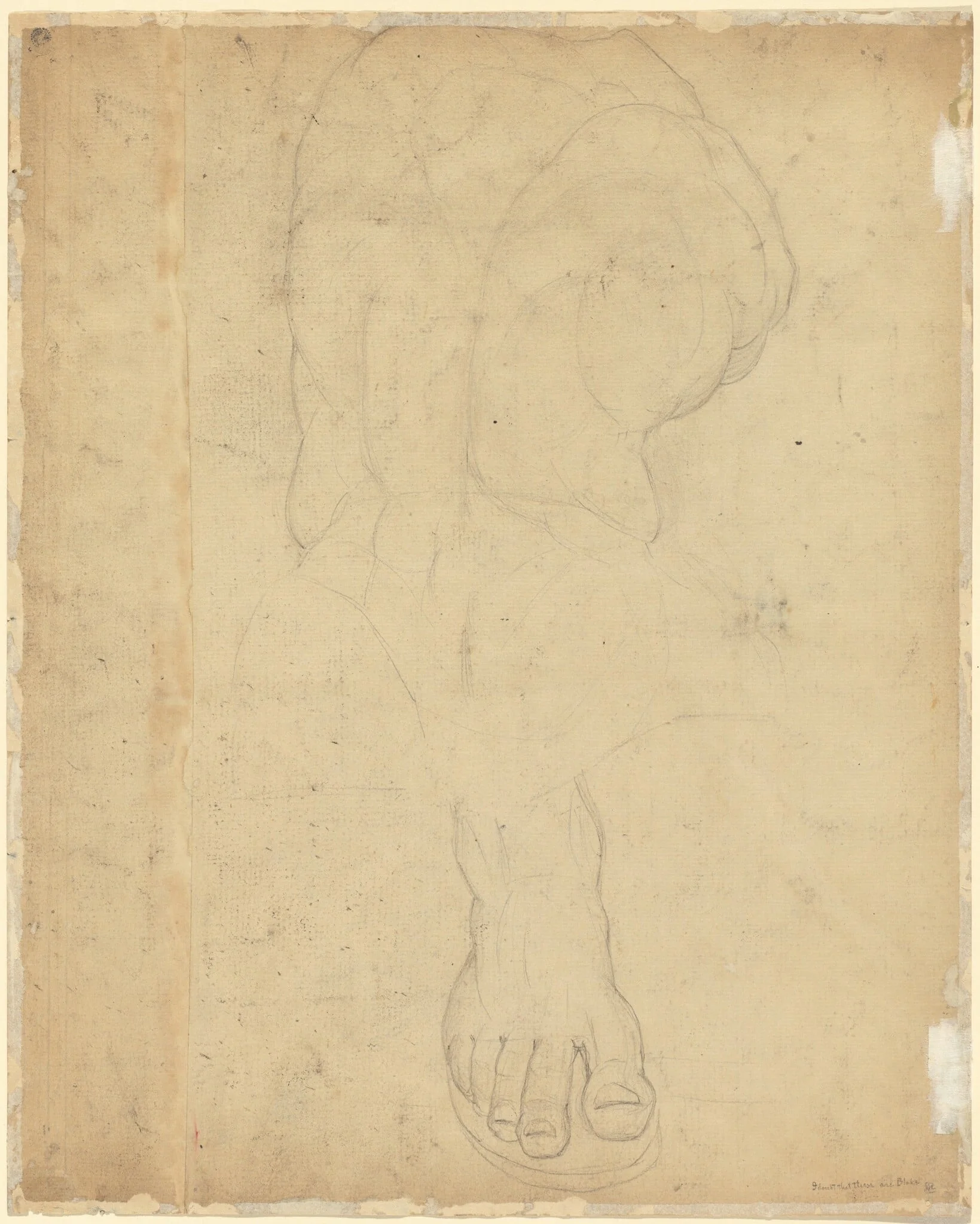 The Belvedere Torso [verso], by William Blake, graphite, 1780
