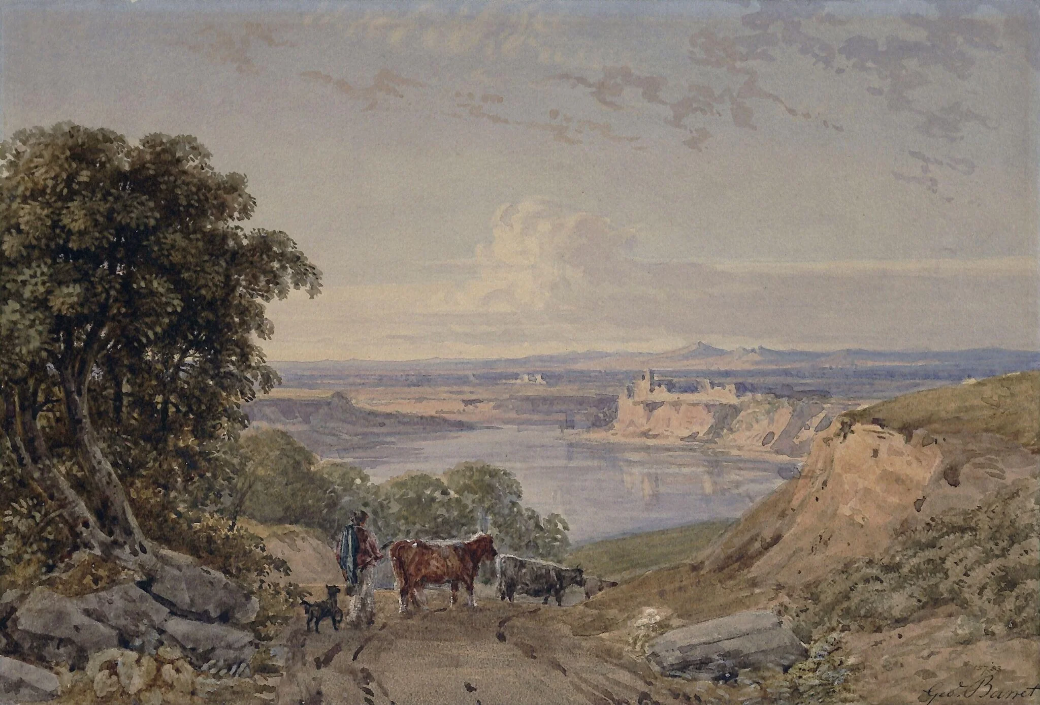 Landscape with cattle