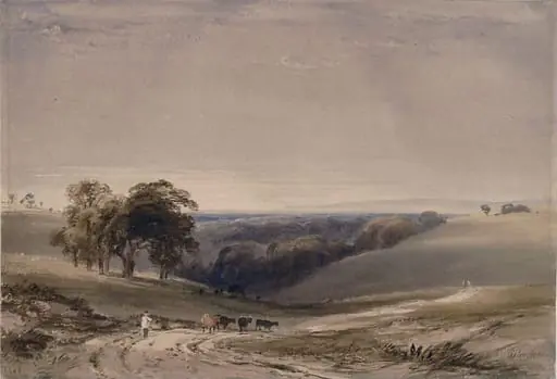 Ecclesbourne Glen
