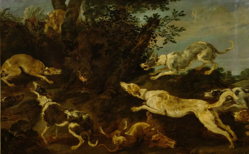 Boar hunt