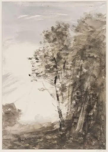 Landscape with trees