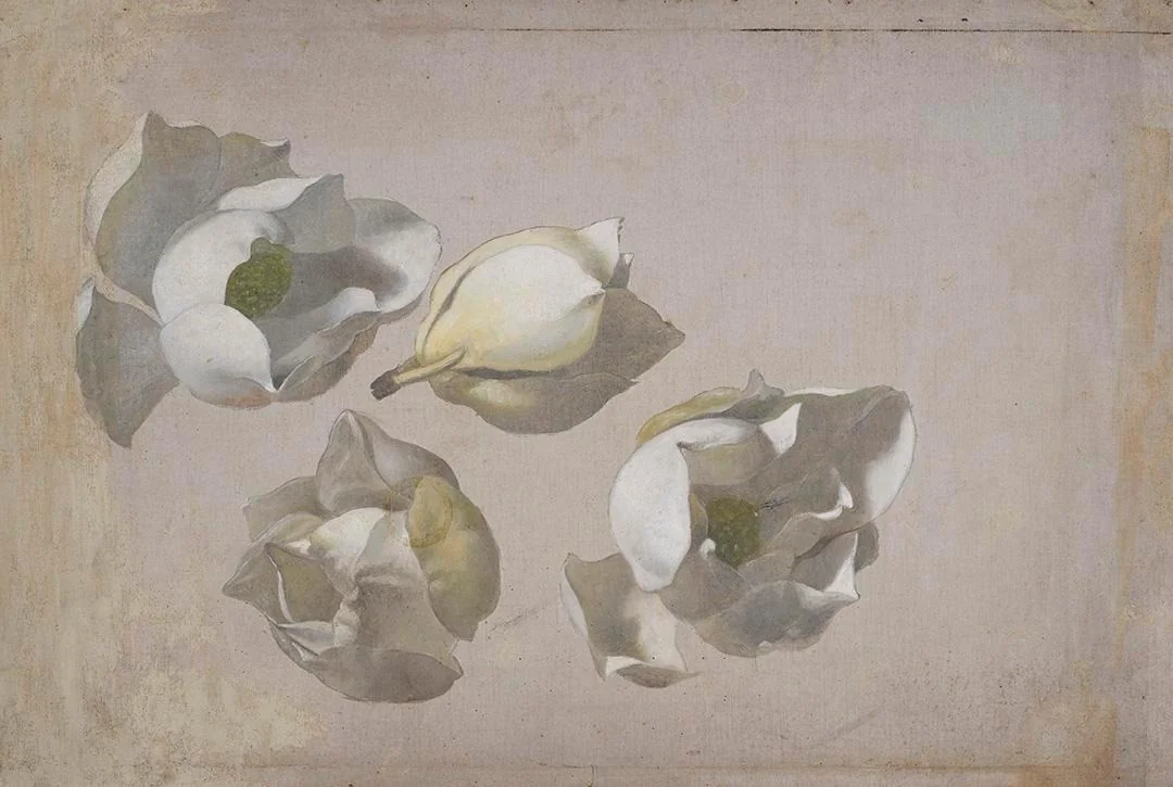Study of Four Magnolia Blossoms, by Martin Johnson Heade, oil, 1893