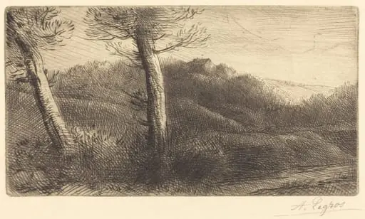 Sunset (Coucher du soleil)