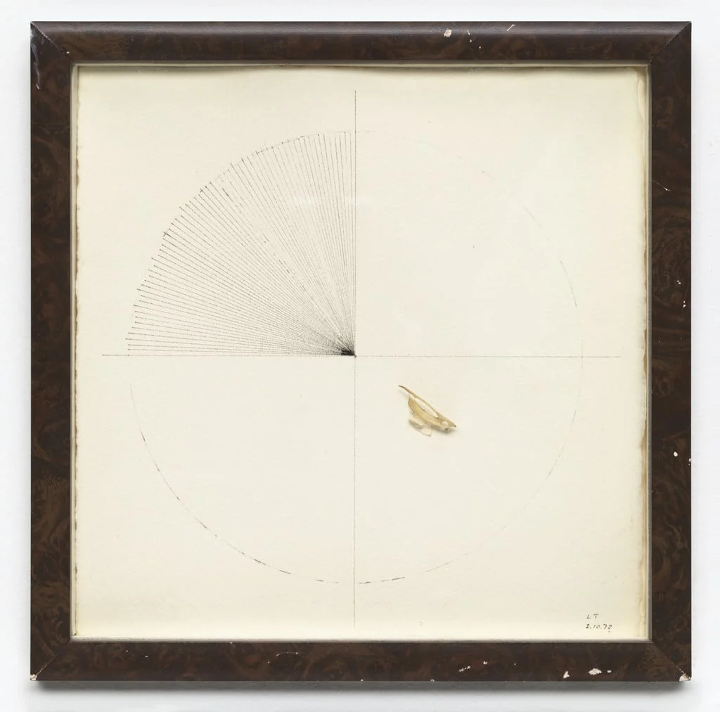 Untitled, by Lenore Tawney, ink, 1972