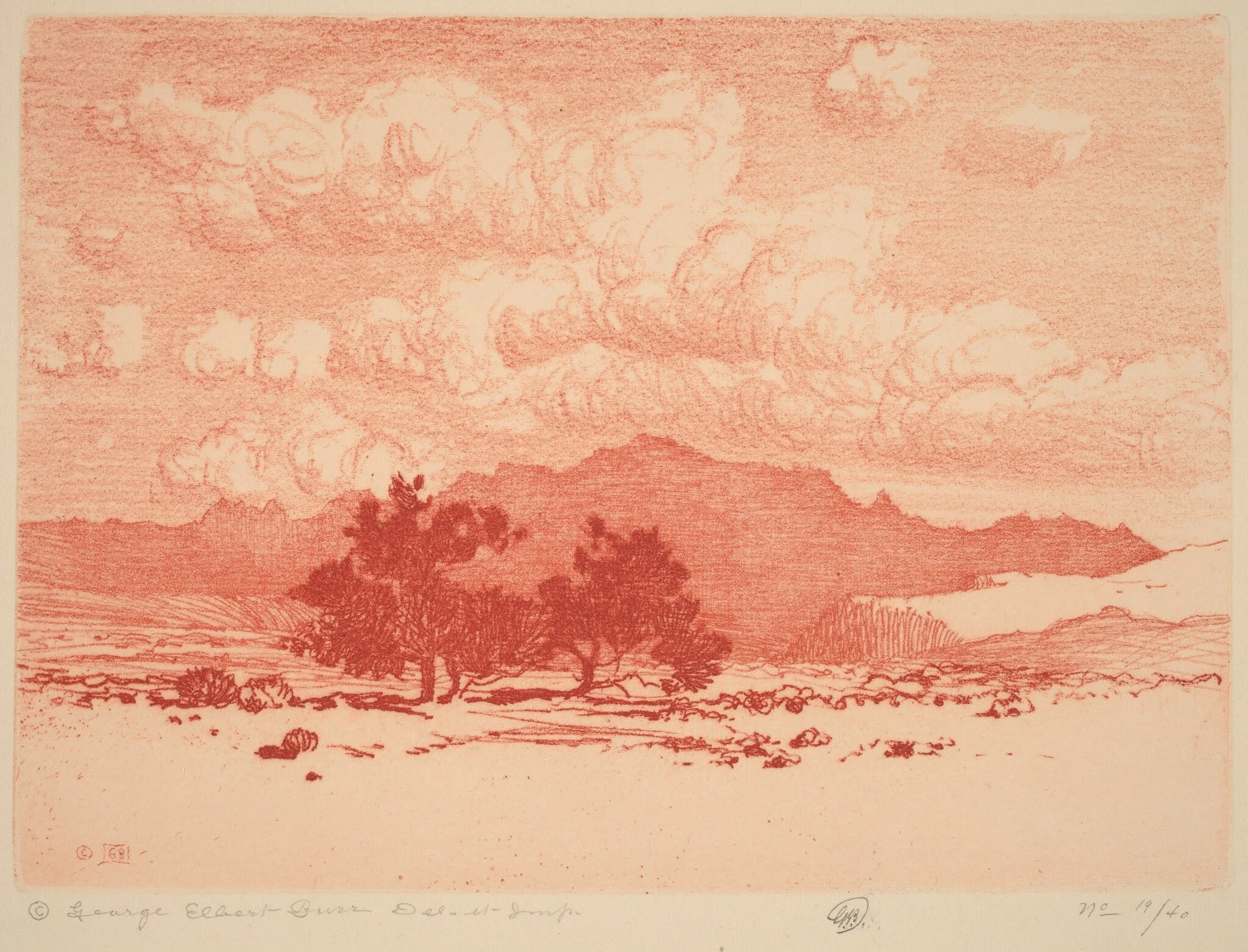 Palo Verde Trees, by George Elbert Burr, ink, 1920
