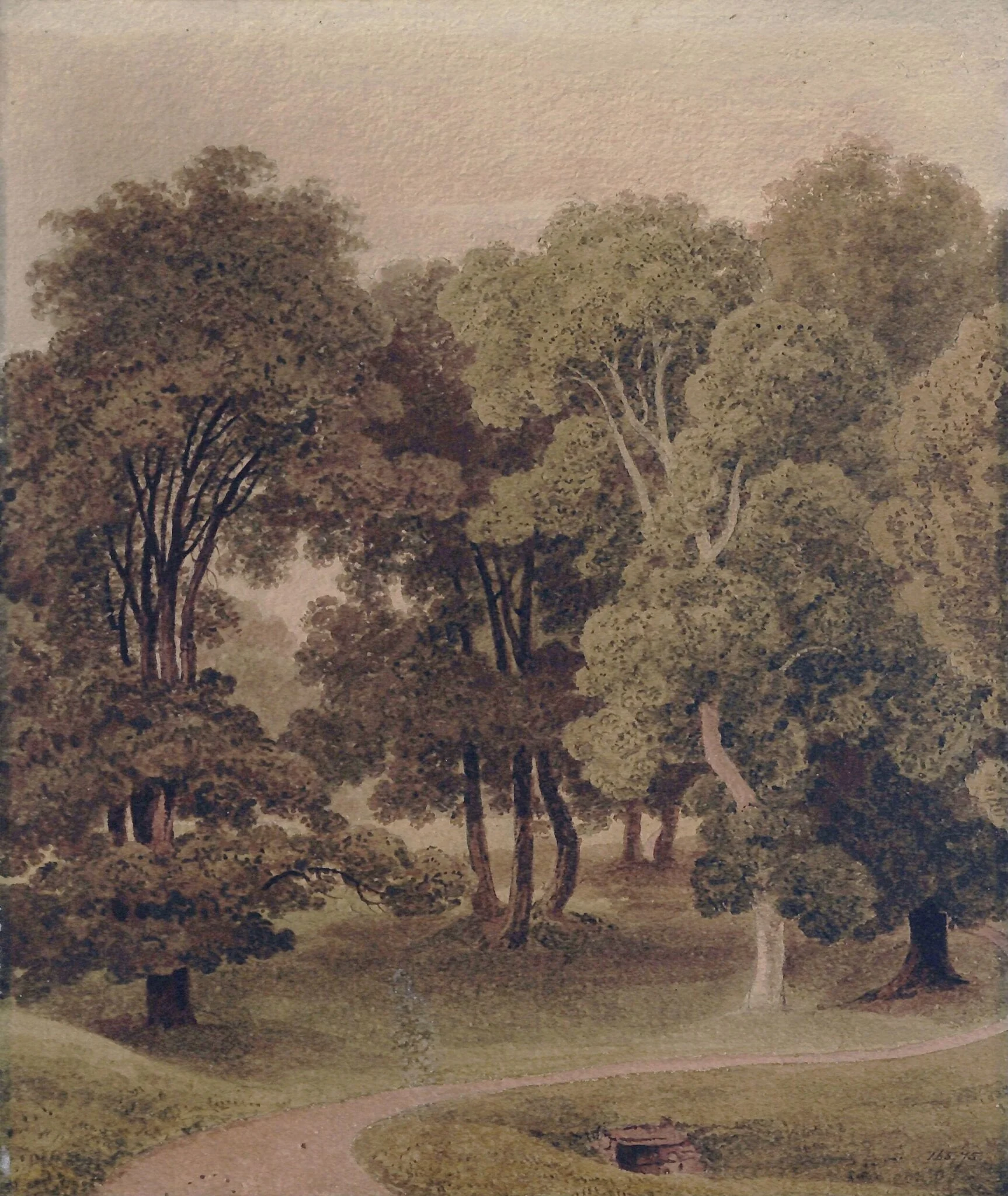Group of trees at Dingwall, Ross-shire
