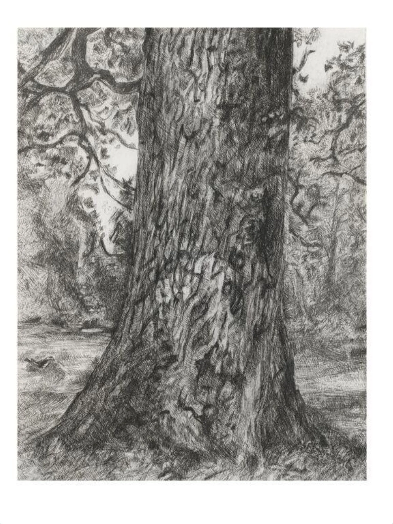 After Constable's Elm