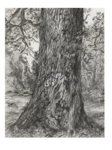 After Constable's Elm