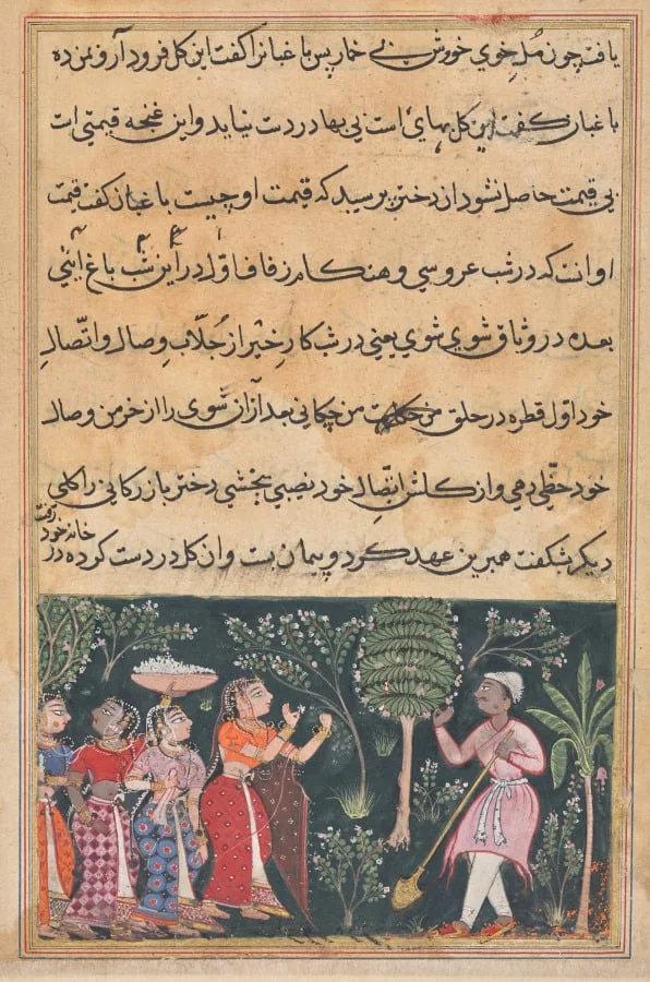 The daughter of the merchant of Mazanderan asks the gardener for the rose, from a Tuti-nama (Tales of a Parrot): Twelfth Night, by Unknown, unspecified, 1560