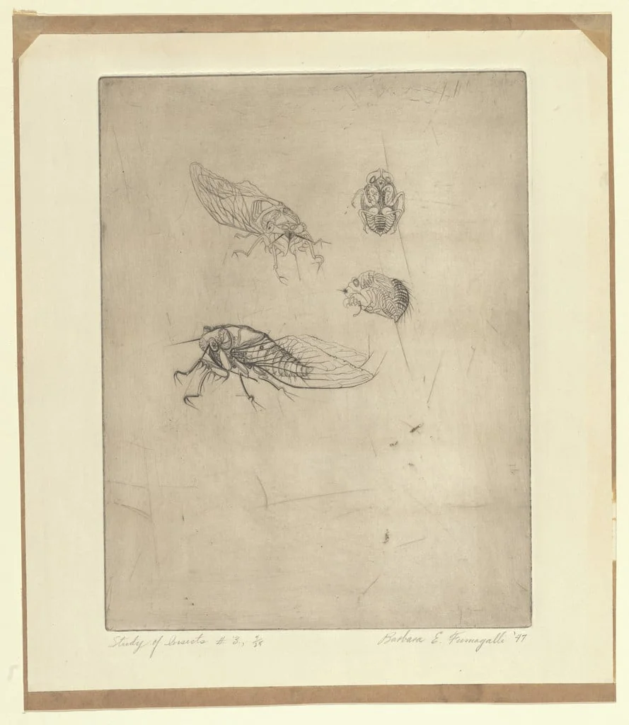 Untitled, by Barbara E. Fumagalli, ink, 1947