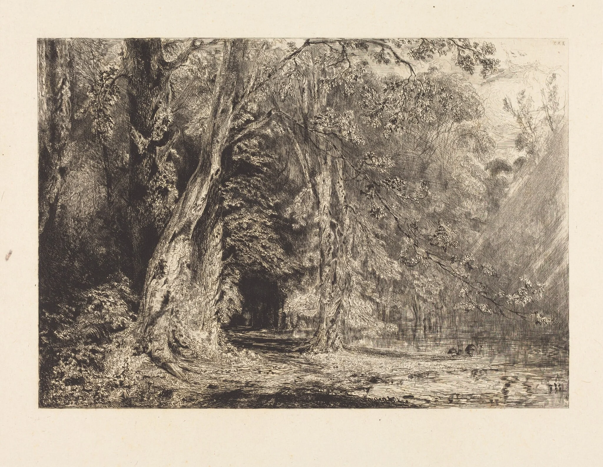 Flooding in the Forest of the Ile Séguin