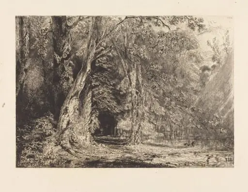 Flooding in the Forest of the Ile Séguin