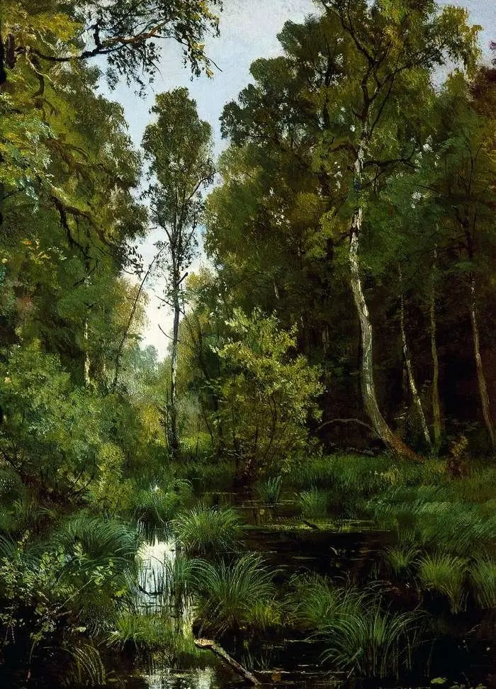 Overgrown Pond at the Edge of the Forest. Siverskaya