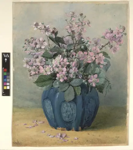 Blackberry Blossom