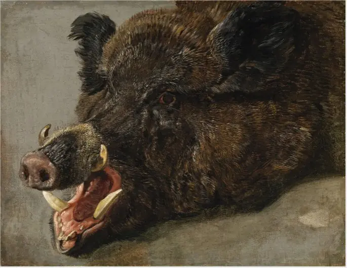 The Head of a Wild Boar