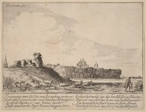 Ruins of Assemburg Castle