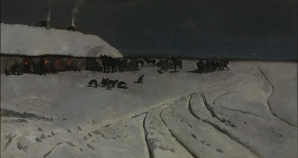 Winter night in Ukraine