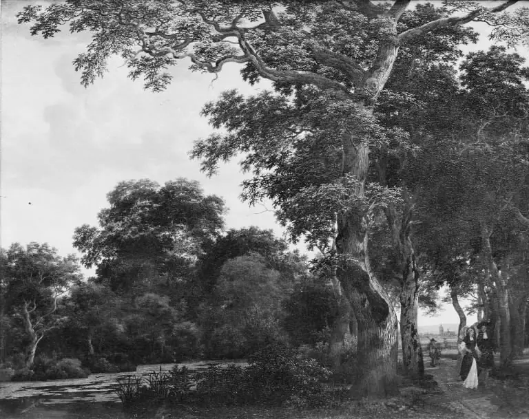 The Oak Avenue