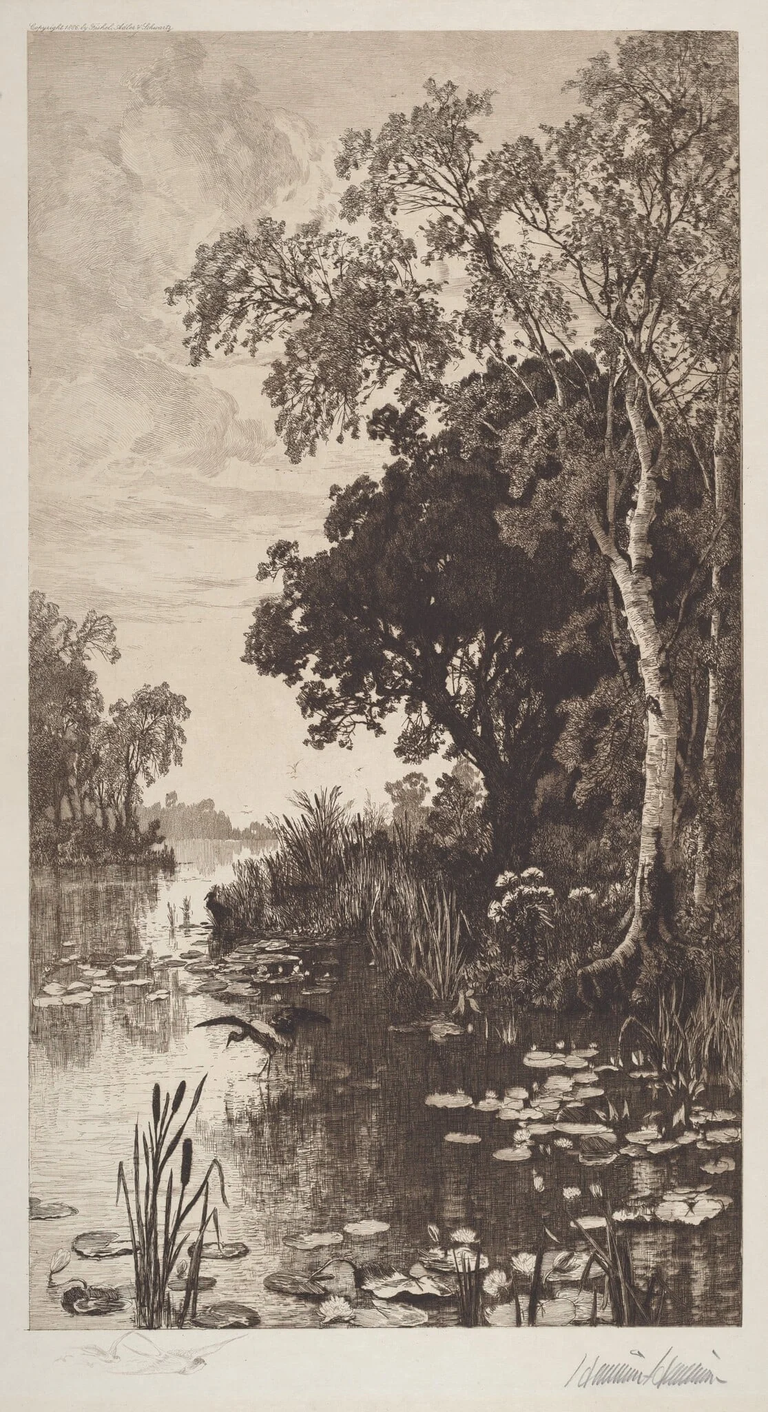 Untitled (Summer)