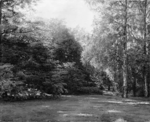 Park with Tall Trees