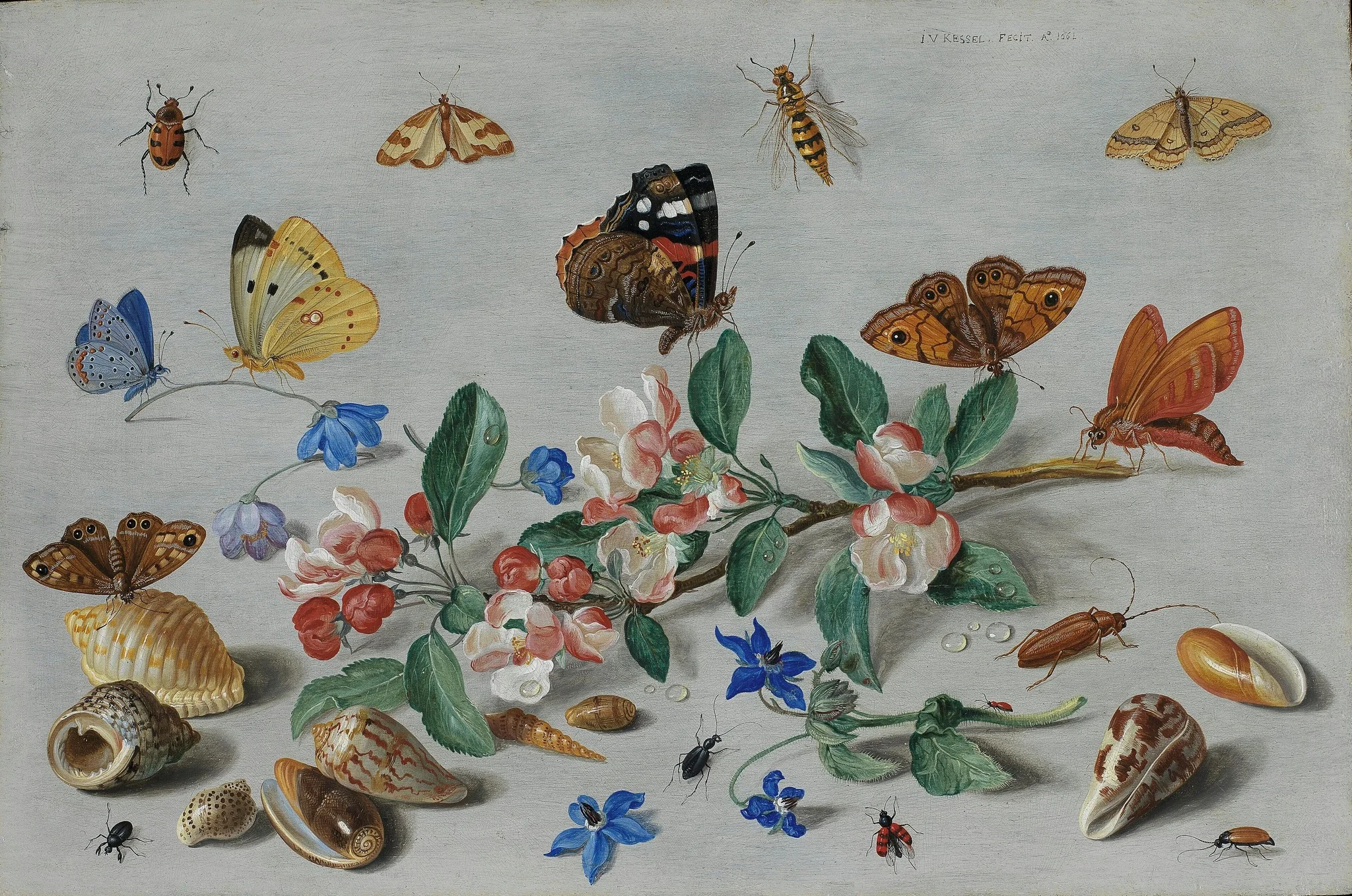 Butterflies and other insects