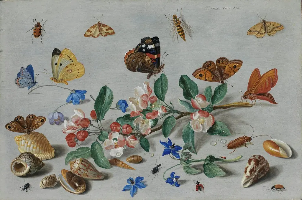 Butterflies and other insects